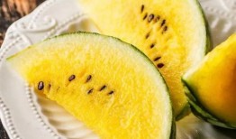 鑫淼吃瓜,揭秘娱乐圈那些不为人知的幕后故事